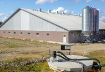 Проектирование систем перекачивания навоза Проектирование систем перекачивания навоза