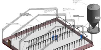 Комбинированные транспортеры сыпучих веществ Комбинированные транспортеры сыпучих веществ