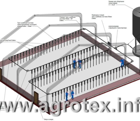 Комбинированные транспортеры сыпучих веществ Комбинированные транспортеры сыпучих веществ