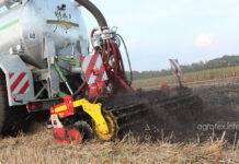 Органические отходы — современный взгляд на проблему Органические отходы - современный взгляд на проблему